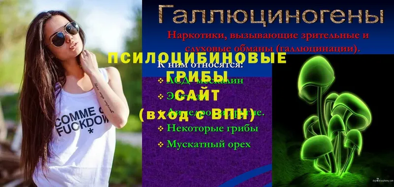 Галлюциногенные грибы мицелий  Анапа 